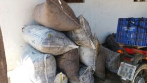 crime-ambiental_sto-amaro-das-brotas_pmse-1