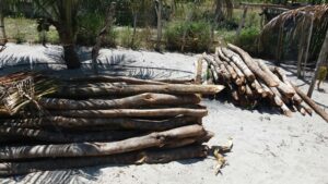 crime-ambiental_sto-amaro-das-brotas_pmse-2