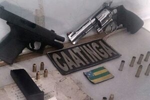 caatinga-capa